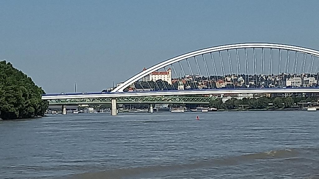 Donau (376)